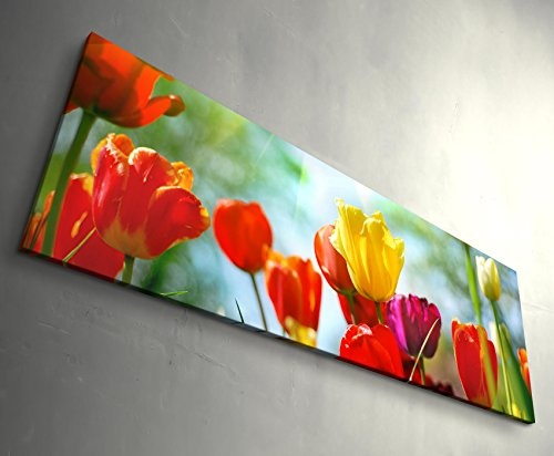 Paul Sinus Art Leinwandbilder | Bilder Leinwand 120x40cm Bunte Tulpen im Sonnenschein