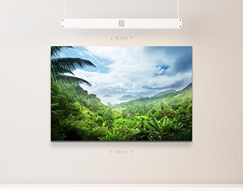 Paul Sinus Art Leinwandbilder | Bilder Leinwand 120x80cm Regenwald der Seychellen