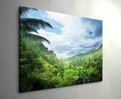 Paul Sinus Art Leinwandbilder | Bilder Leinwand 120x80cm Regenwald der Seychellen