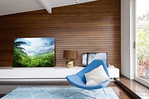 Paul Sinus Art Leinwandbilder | Bilder Leinwand 120x80cm Regenwald der Seychellen