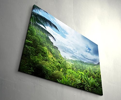 Paul Sinus Art Leinwandbilder | Bilder Leinwand 120x80cm Regenwald der Seychellen