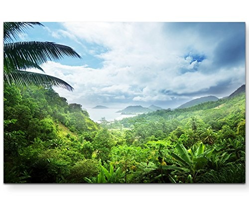 Paul Sinus Art Leinwandbilder | Bilder Leinwand 120x80cm Regenwald der Seychellen