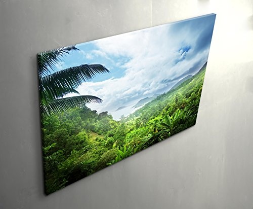 Paul Sinus Art Leinwandbilder | Bilder Leinwand 120x80cm Regenwald der Seychellen