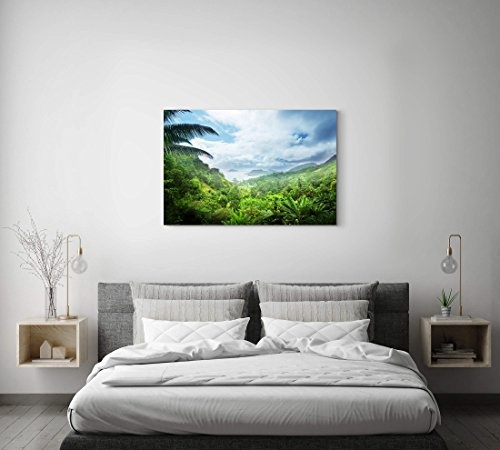 Paul Sinus Art Leinwandbilder | Bilder Leinwand 120x80cm Regenwald der Seychellen