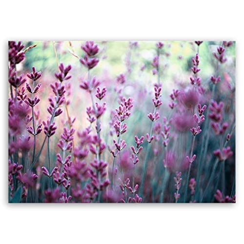 ge Bildet® hochwertiges Leinwandbild Pflanzen Bilder - Lavendelblüten Feld - Blumen Violett Lavendel Natur - 70 x 50 cm einteilig 2206 F