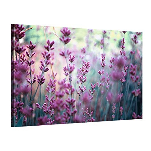 ge Bildet® hochwertiges Leinwandbild Pflanzen Bilder - Lavendelblüten Feld - Blumen Violett Lavendel Natur - 70 x 50 cm einteilig 2206 F