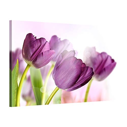 ge Bildet® hochwertiges Leinwandbild XXL Pflanzen Bilder - Tulpe - Blumen Violett Natur - 100 x 70 cm einteilig 2207 E
