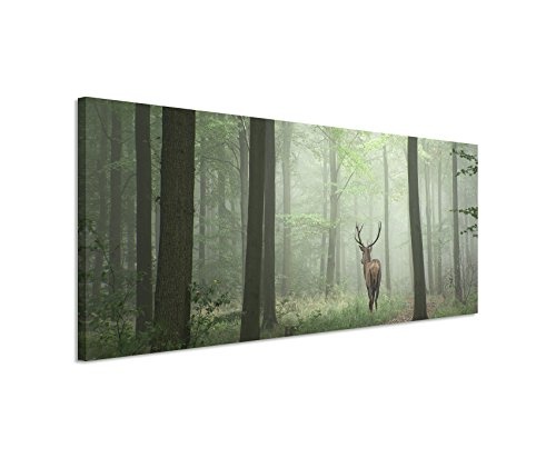 Wunderschönes Wandbild 150x50cm Landschaftsfotografie - Hirsch im Nebelwald