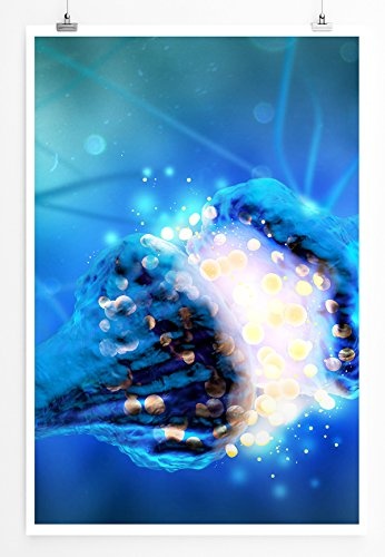 Sinus Art Kunst Leinwandbild - Medizinische Abbildung – Neuron und Synapse- Fotodruck in gestochen scharfer Qualität