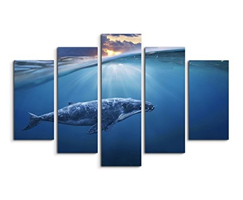Sinus Art Wandbild 5 teilig gesamt 150x100cm Bild – Unterwasser Blauwal