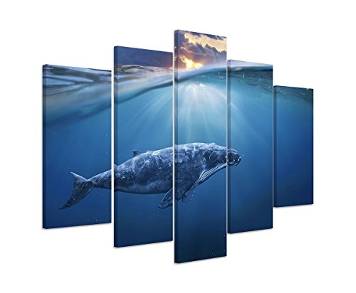 Sinus Art Wandbild 5 teilig gesamt 150x100cm Bild – Unterwasser Blauwal