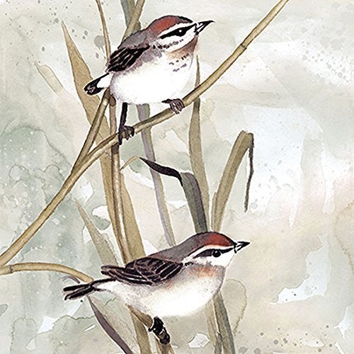 Rahmen-Kunst Keilrahmen-Bild - Carol Robinson: Neutral Spring I Leinwandbild Vögel Frühling Zweige floral (60x60)