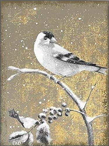 Keilrahmen-Bild - Beth Grove: Winter Birds Goldfinch...