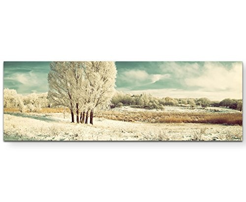 Paul Sinus Art Leinwandbilder | Bilder Leinwand 150x50cm eisige Winterlandschaft mit Baum