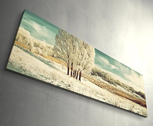 Paul Sinus Art Leinwandbilder | Bilder Leinwand 150x50cm eisige Winterlandschaft mit Baum