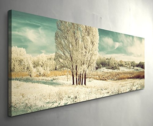 Paul Sinus Art Leinwandbilder | Bilder Leinwand 150x50cm eisige Winterlandschaft mit Baum