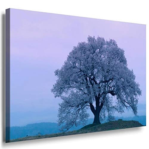 Baum Landschaft Kalt Leinwandbild / LaraArt Bilder / Leinwand Bild + Mehrfarbig + Kunstdruck XXL n17-7 Wandbild 150 x 100 cm