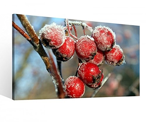 Leinwand 1Tlg XXL rote gefrostete Beeren Eis kalt Leinwandbild Bilder Bild Wandbild Holz fertig gerahmt 9R1095, XL 1Tlg BxH:100cmx60cm