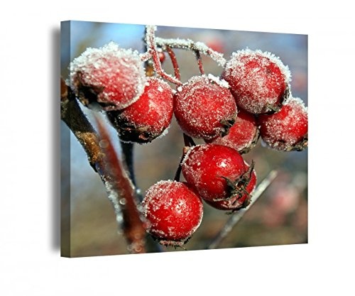Leinwand 1Tlg rote gefrostete Beeren Eis kalt Leinwandbilder Bild Bilder Holz fertig gerahmt 9R1240, BxH Bild:40cmx40cm