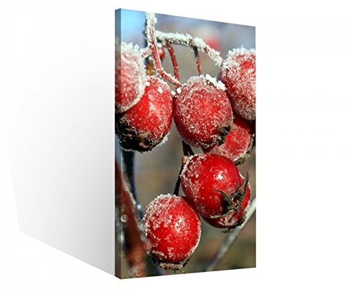 Leinwand 1 Tlg rote gefrostete Beeren Eis kalt Leinwandbilder Bild Bilder Holz fertig gerahmt 9R206, 1 Tlg BxH:30x60cm