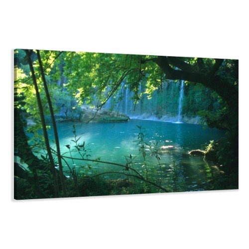 Visario Leinwandbilder 4164 Bild auf Leinwand Bäume, 80 x 60 cm