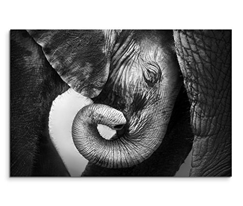 120x80cm Leinwandbild auf Keilrahmen Elefant Baby...