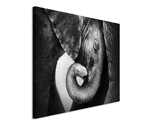 120x80cm Leinwandbild auf Keilrahmen Elefant Baby Nahaufnahme Wandbild auf Leinwand als Panorama