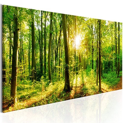 murando - Bilder Wald 150x50 cm Vlies Leinwandbild 1 TLG Kunstdruck modern Wandbilder XXL Wanddekoration Design Wand Bild - Waldlandschaft Natur Panorama Baum c-B-0184-b-a