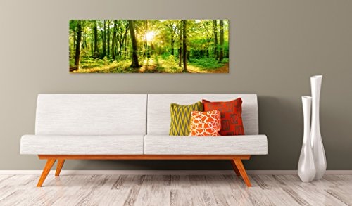 murando - Bilder Wald 150x50 cm Vlies Leinwandbild 1 TLG Kunstdruck modern Wandbilder XXL Wanddekoration Design Wand Bild - Waldlandschaft Natur Panorama Baum c-B-0184-b-a