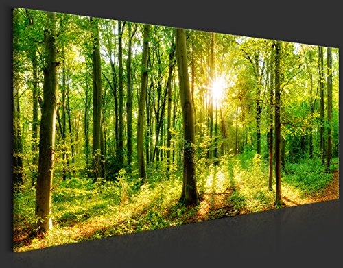 murando - Bilder Wald 150x50 cm Vlies Leinwandbild 1 TLG Kunstdruck modern Wandbilder XXL Wanddekoration Design Wand Bild - Waldlandschaft Natur Panorama Baum c-B-0184-b-a