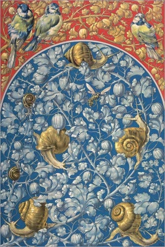 Leinwandbild 20 x 30 cm: Die Pflanze in Kunst und Gewerbe, Nr. 158 von Anton Seder - fertiges Wandbild, Bild auf Keilrahmen, Fertigbild auf echter Leinwand, Leinwanddruck