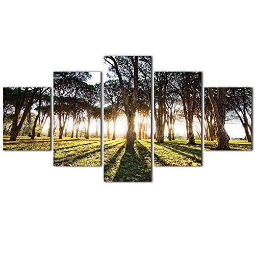 JAJUQH 5 pcs Sun Wald Leinwandbilder Wand Bilder für Wohnzimmer HD Baum Drucken Große, moderne Dekoration Poster gerahmt an der Wand Anstrich gestaltet, 3