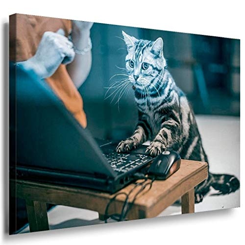 Katze am Computer Leinwandbild / LaraArt Bilder / Mehrfarbig + Kunstdruck XXL t111 Wandbild 150 x 100 cm