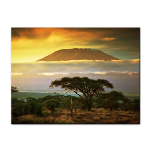 Wandbild - Kilimandscharo mit Savanne in Kenya - Afrika - Bild auf Leinwand - 80x60 cm 1 teilig - Leinwandbilder - Landschaften - Tansania - Nationalpark - Sonnenuntergang