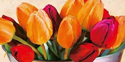Keilrahmen-Bild - Teo Rizzardi: Colorscape I Leinwandbild Blumen Tulpen Blüten orange Pop knallig farbenfroh modern (40x80)