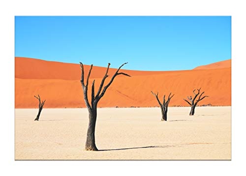 Wandhelden - modernes Leinwandbild auf Keilrahmen, Verschiedene Größen (auch XXL) - in Thüringen gefertigt – Wandbild: Sand, Wüste, Bäume, Orange, Blau - Foto Kunstdruck auf Leinwand (80 x 120 cm)