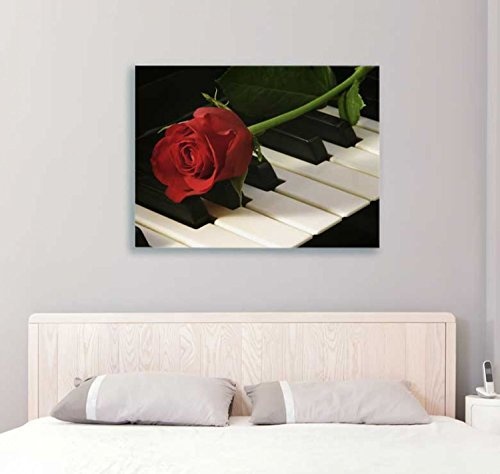 B-wie-Bilder.de Leinwandbild Bild Wandbild Blumen Rosen Musik Klavier Farbe Color, Größe 80 x 60 cm