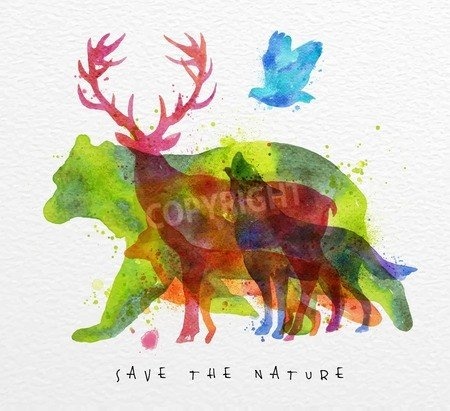 Leinwand-Bild 30 x 30 cm: "Color animals ,bear, deer, wolf, fox, bird, drawing overprint on watercolor paper background lettering save the nature", Bild auf Leinwand