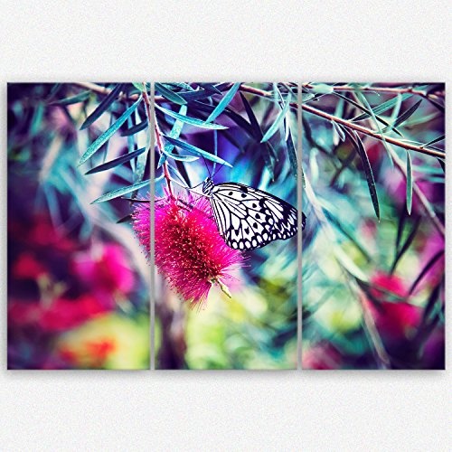ge Bildet hochwertiges Leinwandbild XXL butterfly - color explosion - Premium Leinwanddruck 120 x 80 cm mehrteilig (3 teilig)