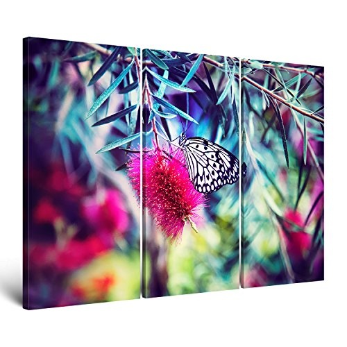 ge Bildet hochwertiges Leinwandbild XXL butterfly - color explosion - Premium Leinwanddruck 120 x 80 cm mehrteilig (3 teilig)