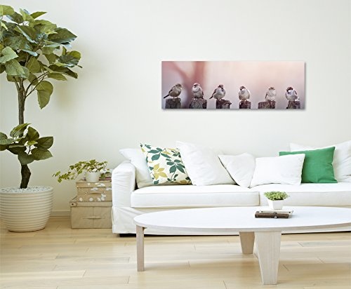 Wunderschönes Wandbild 150x50cm Tierbilder - Spatzen auf Holzzaun