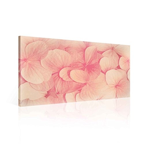 Tapeto Leinwandbild Rosa Hortensien Pastell - M - 60 x 40 cm - Komplettpaket! - fertig gerahmt und inklusive Aufhängung - hochwertige 230g/m² Leinwand auf Keilrahmen - kinderleichte Anbringung
