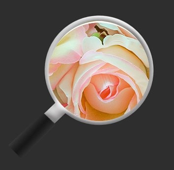 islandburner Bild Bilder auf Leinwand Rosen Pastell Deko Blumen 1p XXL Poster Leinwandbild Wandbild Dekoartikel Wohnzimmer Marke