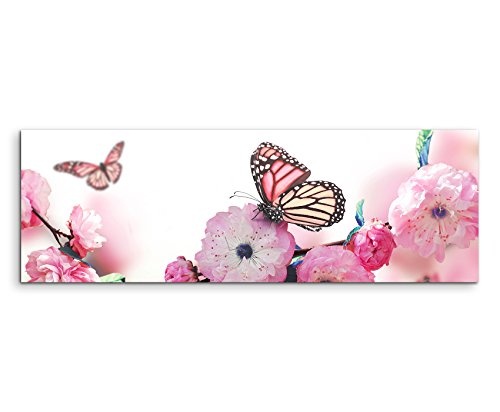 Wunderschönes Wandbild 150x50cm traumhaftes Natur Bild - Schmetterlinge an rosa Kirschblüten