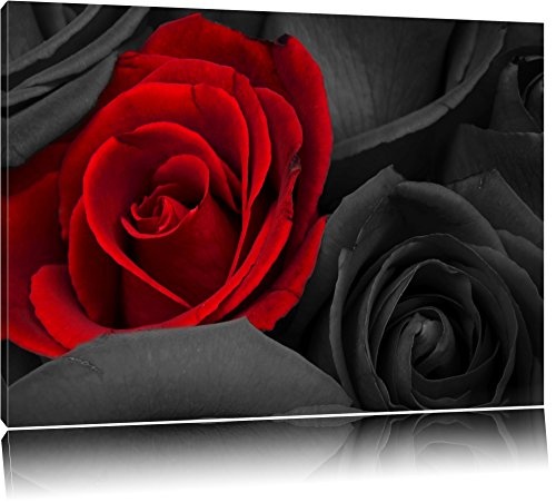 romantische rote Rosen schwarz/weiß auf Leinwand,...
