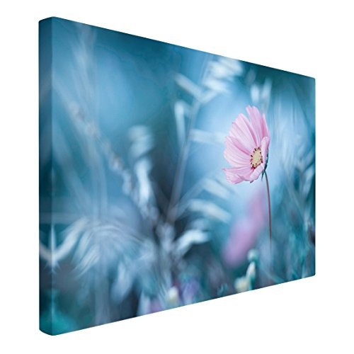 Leinwandbild - Blüte in Pastell - Quer 2:3, 60cm x 90cm