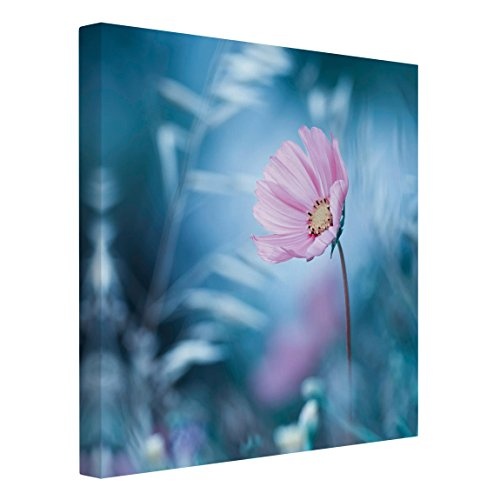 Leinwandbild - Blüte in Pastell - Quadrat 1:1, 70cm x 70cm