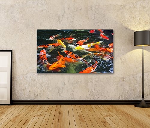 islandburner Bild Bilder auf Leinwand tolle Koi Fische im Wasser Poster, Leinwandbild, Wandbilder