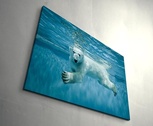 Paul Sinus Art Leinwandbilder | Bilder Leinwand 120x80cm schwimmender Eisbär Unter Wasser