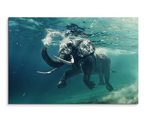 Sinus Art Wandbild 120x80cm Tierfotografie - Schwimmender Elefant unter Wasser